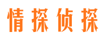 淳化市婚外情调查